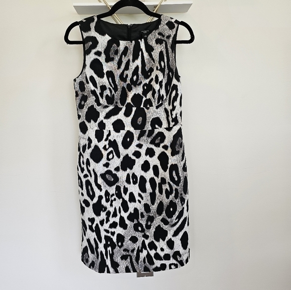Ann Taylor Gray Black Animal Leopard Print Sheath Dress Size 4 Petite - Picture 2 of 10